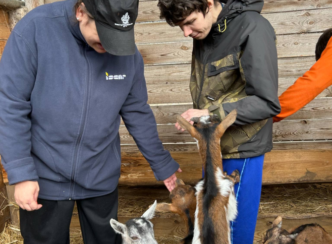 Barka Állatsimogató 2025